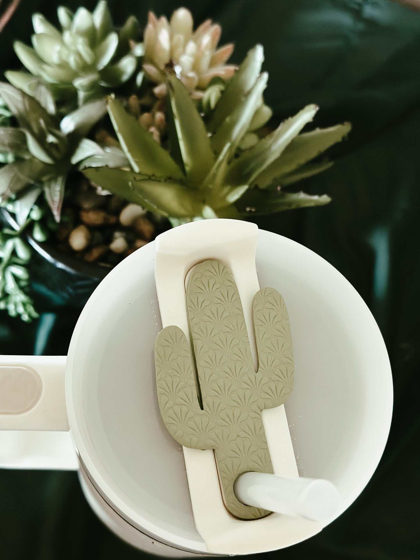 Cactus Stanley